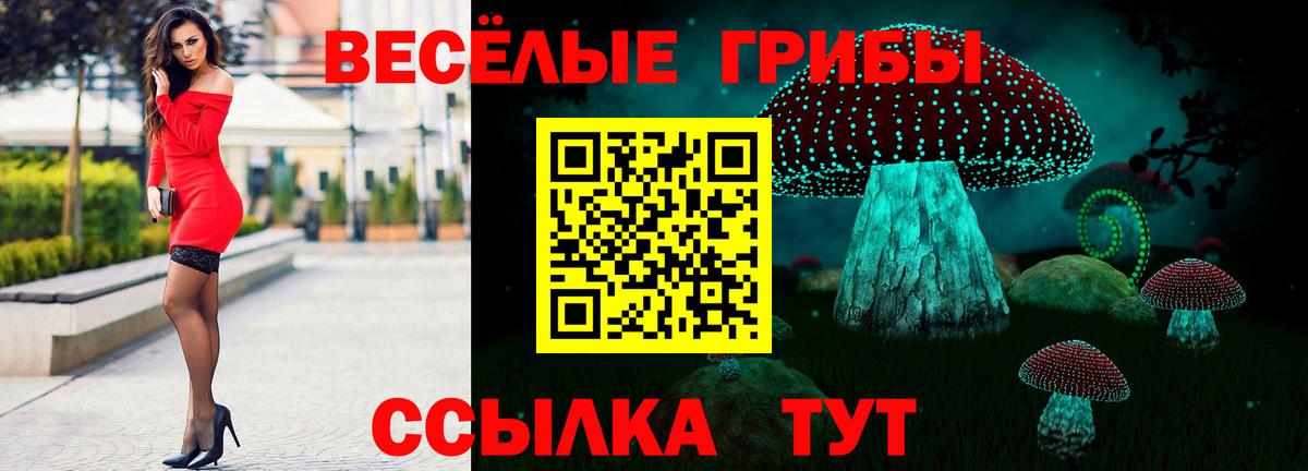 Псилоцибиновые грибы Cubensis Александров