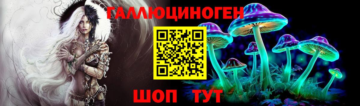 Галлюциногенные грибы Psilocybe  Вход с VPN  Александров 